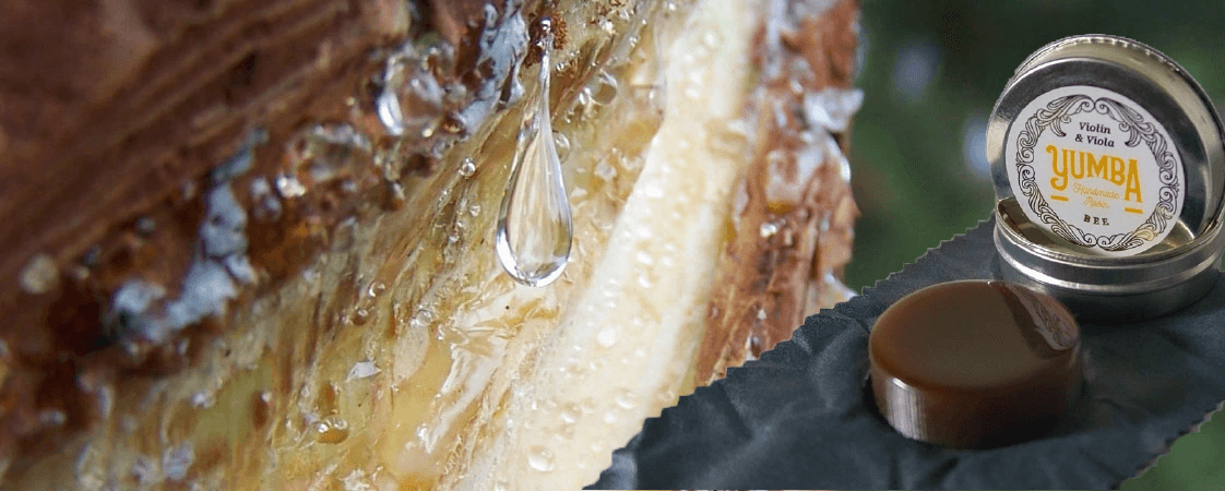 Rosin from Argentina!