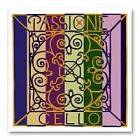 PIRASTRO PASSIONE cello strings