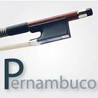 Смичок для альта. Фернамбук