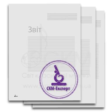 Report on the expert assessment of the value of property (cultural values)