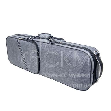 Violin case AIV32