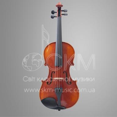 Set: Manufactory Violin 4/4 GT20VN, bow, case, rosin