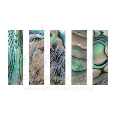 Перламутрова пластина для колодки Paulus (32 х 9,5 мм), віолончель (abalone green)