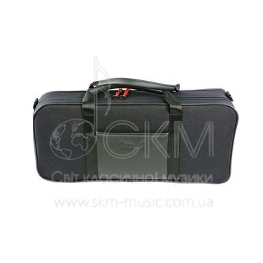 Case for two clarinets Bb and A BAM Classic Double