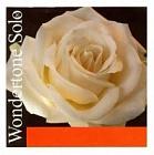 PIRASTRO WONDERTONE SOLO струни для скрипки