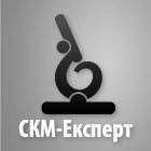 Експертна оцінка