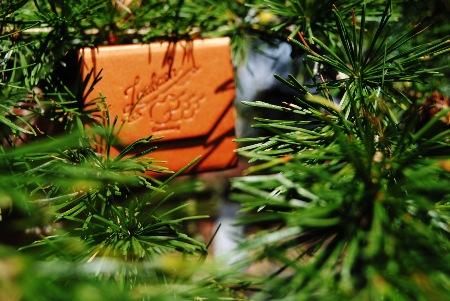 Згадки про смички для струнних інструментів