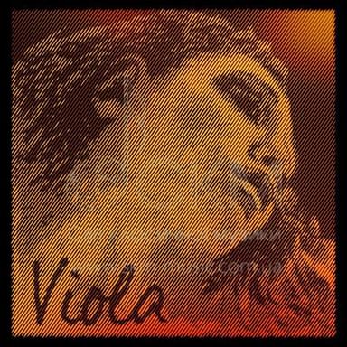 Viola String Salt PIRASTRO EVAH PIRAZZI GOLD, synthetic / silver