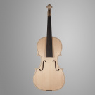 Белая скрипка модель