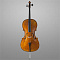 Bowed String Instruments