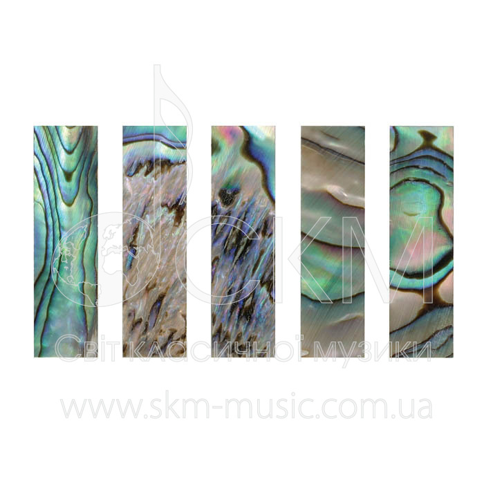 Перламутровая пластина для колодки Paulus (30 х 8,5 мм), скрипка-альт (abalone green)