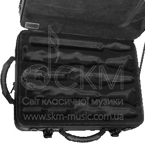 Футляр для двух кларнетов BAM Trekking