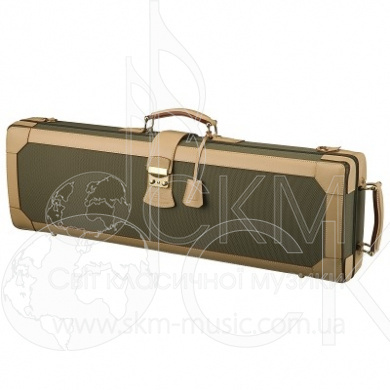 Gl violin shop case