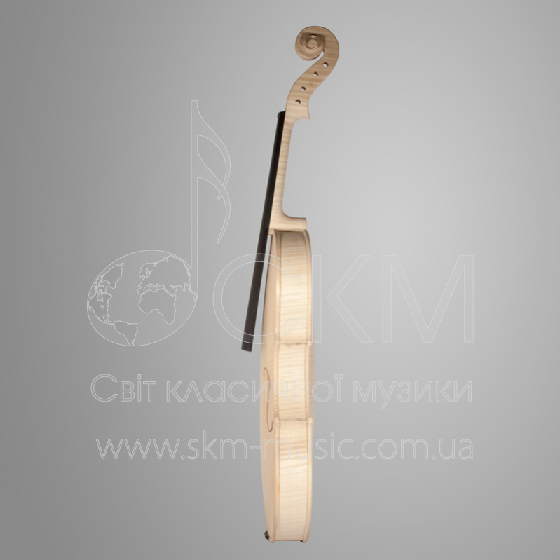 Белая скрипка модель