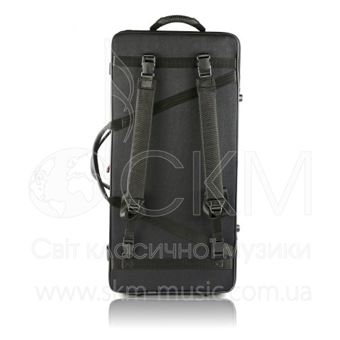 Футляр для скрипки и альта BAM Classic