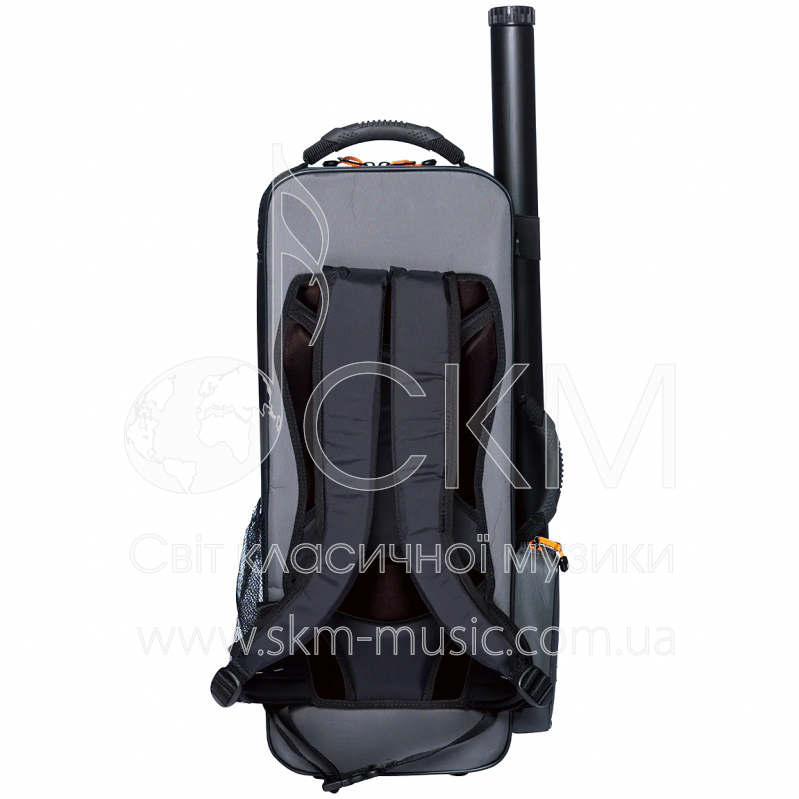 Футляр для скрипки BAM PEAK PERFORMANCE COMPACT