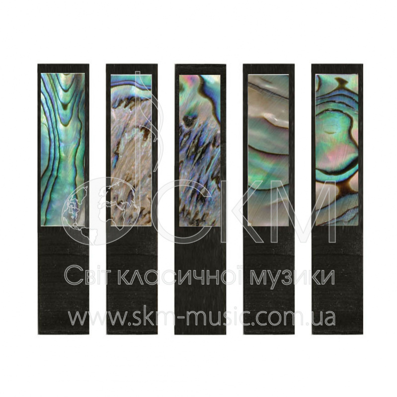 Перламутровая пластина Paulus с подкладкой из черного дерева, виолончель (abalone green)