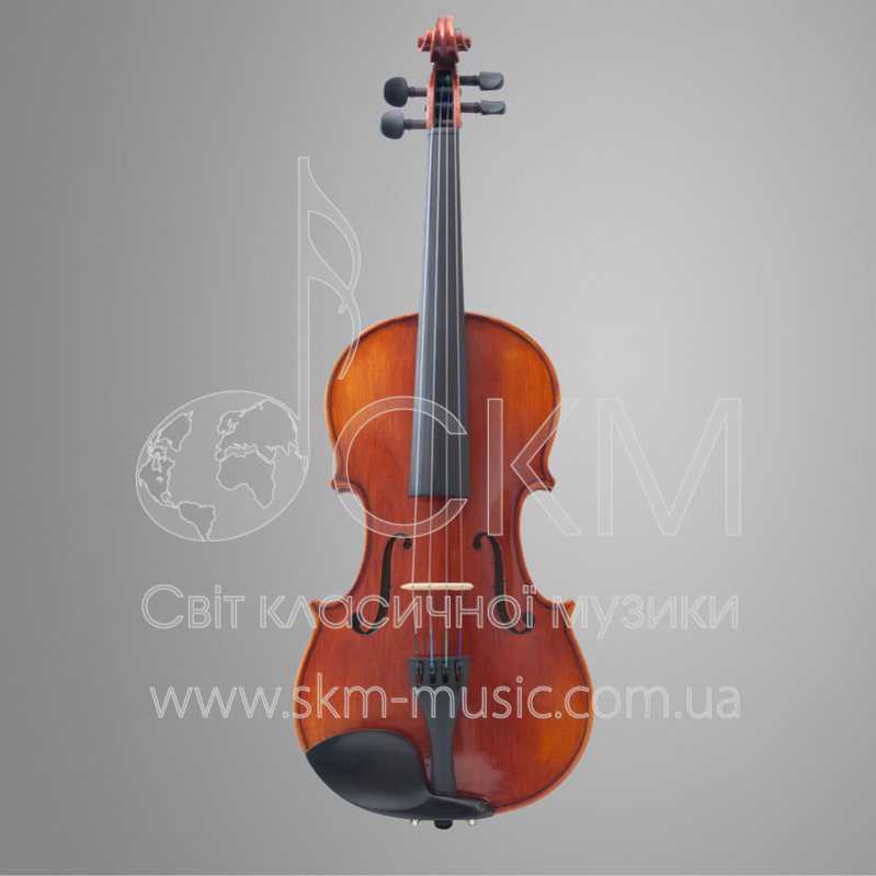 Скрипка мануфактурная 4/4 GT20VN