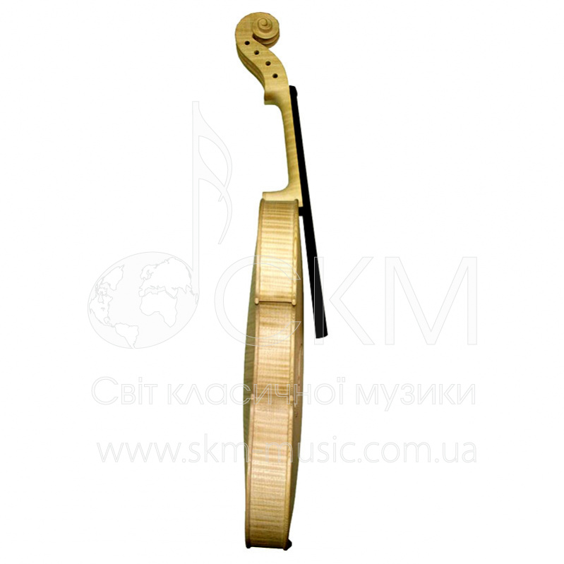 Белая скрипка модель